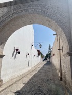 IMG_5513.jpeg
