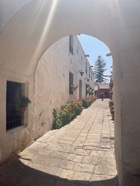 IMG_5528.jpeg