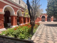 IMG_5535.jpeg