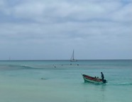IMG_6306.jpeg