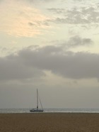 IMG_6317.jpeg