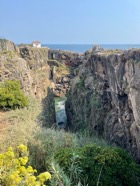 IMG_6804.jpeg