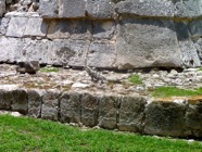 page1473-1022-full.jpg
