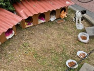 IMG_5436.jpeg