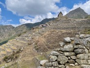 IMG_5974.jpeg