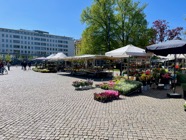 Malmo - 001.jpeg