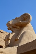 Nile - 012.jpeg