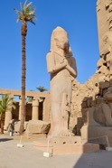 Nile - 013.jpeg