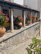 IMG_6820.jpeg