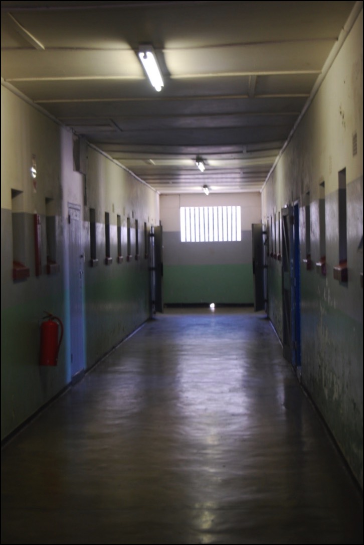 Stacks Image 4074