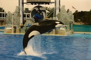 page1461-1069-full