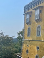 IMG_6835.jpeg
